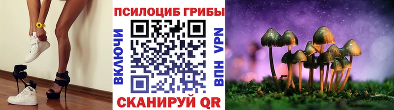 кракен ONION Динская Псилоцибиновые грибы прущие грибы
